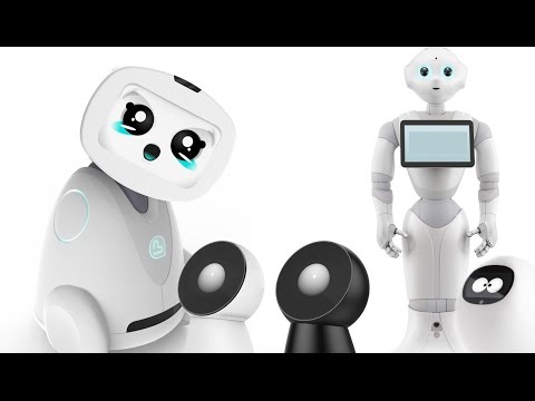 5 Domestic Robots That You Must Have