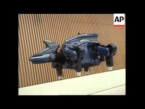 Domestic robot launch plus high tech bra