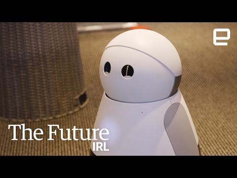 Domestic Robots | The Future In Real Life