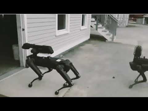 Mass. State Police Tested Out Boston Dynamics’ Spot The Robot Dog. Civil Liberties Advocates Want To