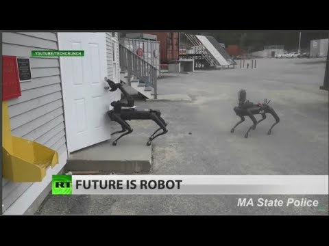 Police robots designed to be 'cute' & 'familiar' – Lionel