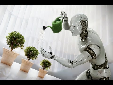 Robot Chores