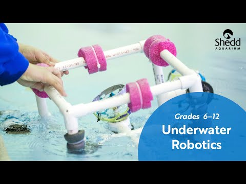 Underwater Robotics