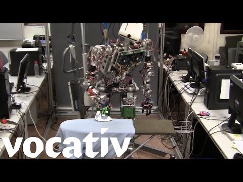 Want A Robot Butler?