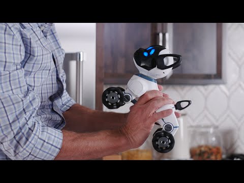 Meet CHiP: The World's First Lovable Robot Dog