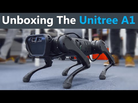 Unboxing a Low-Cost Robot Dog!